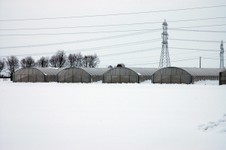 Multitunnel-serre-campioni.jpg